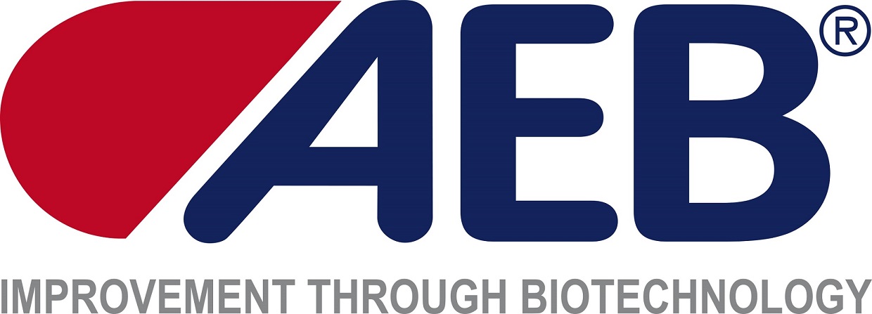 AEB logo